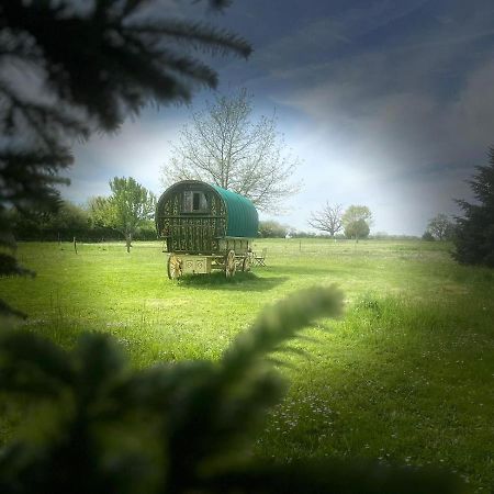 Les Irlandaises Du Petit Marsin Hotell Génillé Exteriör bild