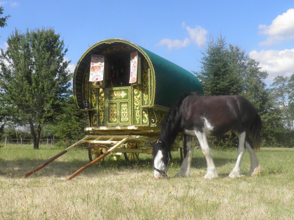 Les Irlandaises Du Petit Marsin Hotell Génillé Exteriör bild