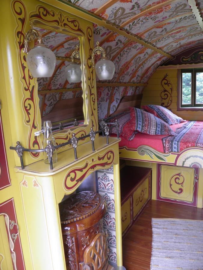 Les Irlandaises Du Petit Marsin Hotell Génillé Exteriör bild