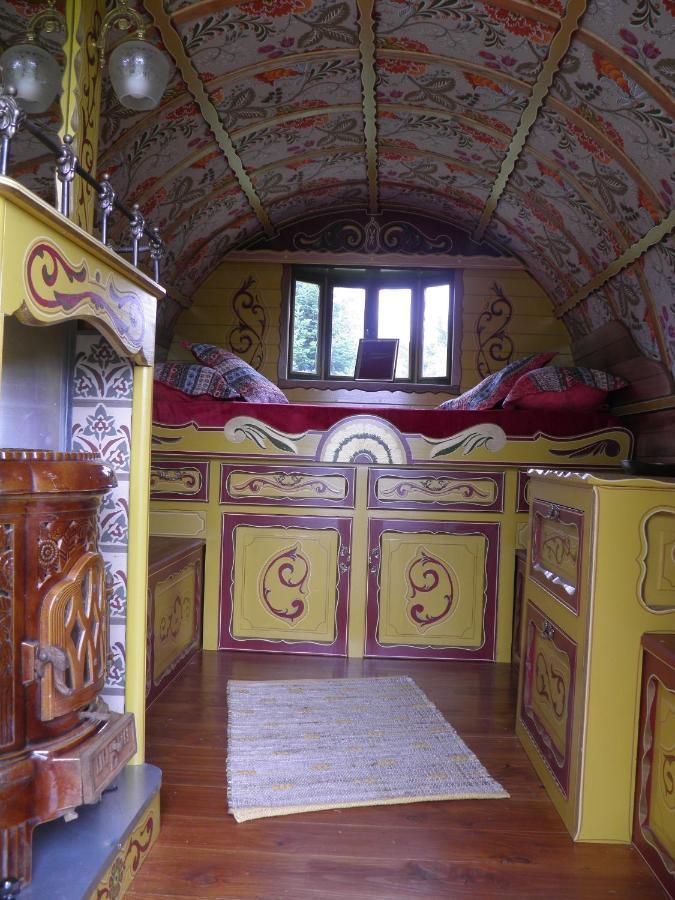 Les Irlandaises Du Petit Marsin Hotell Génillé Exteriör bild